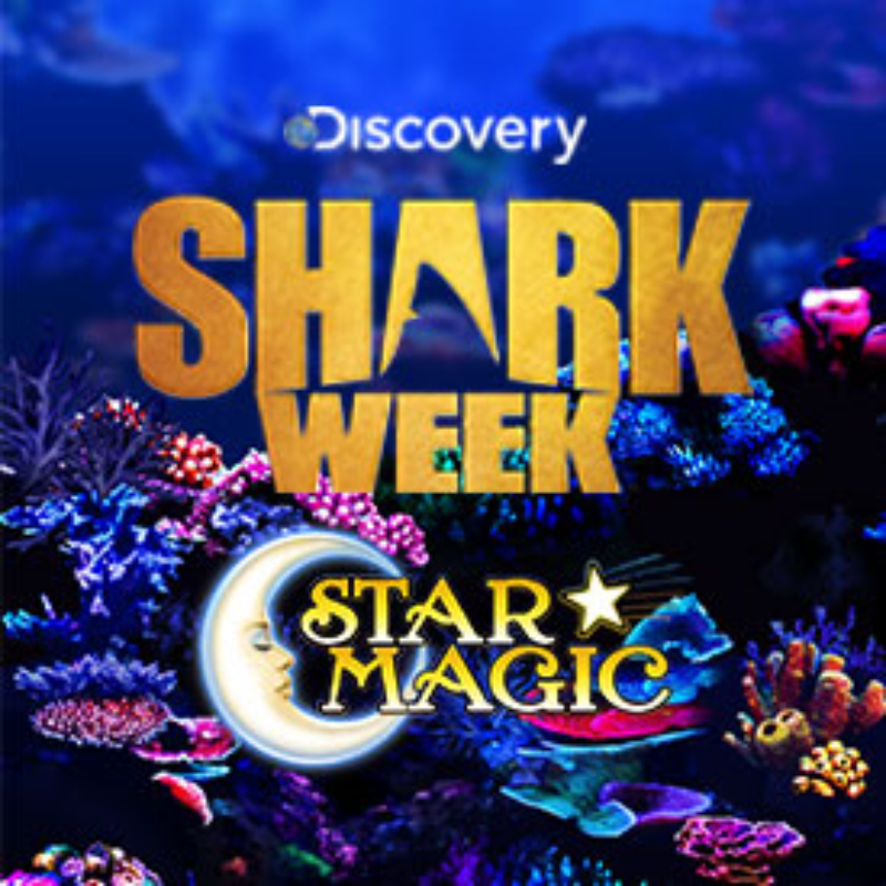 Shark Week Star Magic